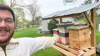 The Swarm is GONE | Reintroduction to Unusual Bee Works