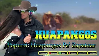 Mix de Huapangos 2024 ~ Popurri: Huapangos Pa' Zapatear ~ Puros Huapangos Para Bailar Mix 2024