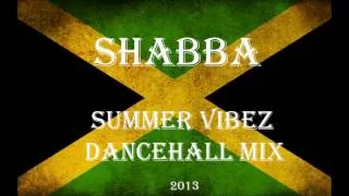 Selecta Shabba-  Summer Vibez Dancehall mix