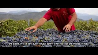 Georgian Wine House Promo Video
