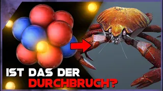 Durchbruch bei der Kernfusion... durch eine KRABBE?!