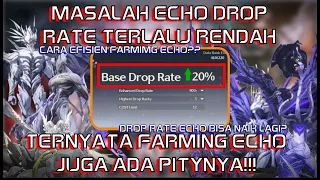 PEMBAHASAN DROP RATE ECHO - Angkanya Bisa Naik Lebih Jauh?? Echo Ada Pity?? | Wuthering Waves