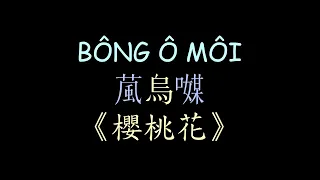 越南民歌 櫻桃花 漢喃歌詞 | Bông Ô Môi - Minh Luân ft Jang Mi  | Chữ Nôm Hán Nôm Lyrics | 漢喃 𡨸喃 喃字 越南歌曲