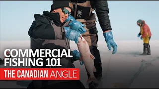 Commercial Fishing 101 | The Canadian Angle