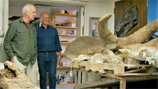 Did Noah’s Flood Bury 10,000+ Dinosaurs in Wyoming? - Dr. Art Chadwick