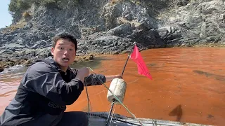 Net Fishing in the Red Tide Sea and Cooking Fried Octopus