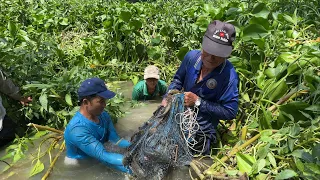 Vô Mánh Rồi Toàn Cá Bự Bác 3 Ơi Về Nấu Lẩu Mắm Thịt Ba Rọi Thì Còn Gì Bằng.Góc Làng Quê#1167