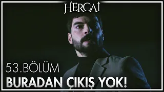 Mahmut vuruluyor! - Hercai 53. Bölüm