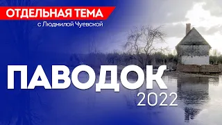 ОТС LIVE | ПАВОДОК 2022 | Программа «Отдельная тема»