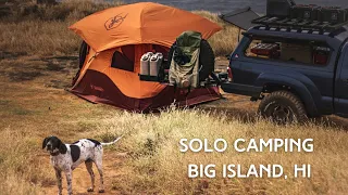 Solo Camping with my dog, Big Island, Hawai'i