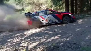 TEST Tanak - PET Rallye de Portugal 2024