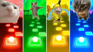 Vibing Cat vs Happy Cat vs Banana Cat vs Chipi Chipi Chapa Chapa Cat - Tiles Hop EDM Rush