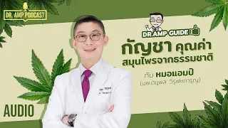 กัญชา คุณค่าสมุนไพรจากธรรมชาติ  by หมอแอมป์ [Dr. Amp Guide👨‍⚕️ & Dr.Amp Podcast]