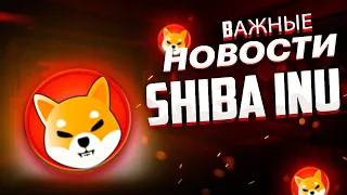 SHIBA INU ВАЖНАЯ ИНФОРМАЦИЯ ДЛЯ ХОЛДЕРОВ! НОВЫЕ ЛИСТИНГИ В АЗИИ - НОВОСТИ ТОКЕНА SHIB