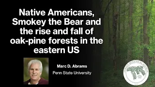 Native Americans, Smokey the Bear and the rise and fall of oak-pine forests in the eastern US