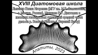 Диатомеи в колонках голоценовых отложений средней части дельты р. Волга (в районе с. Бараний Бугор)