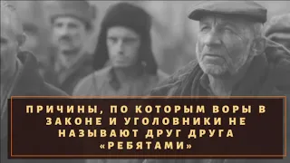 Почему воров в законе и уголовников нельзя называть «ребятами»?