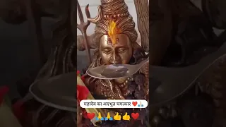 sambo teri maya