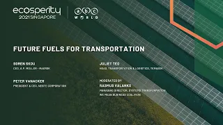 Future Fuels for Transportation