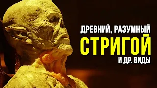 Мутации Стригоев: Древние, Разумные, Ищейки и др. ШТАММ