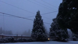 Snow Day In Crestline In February