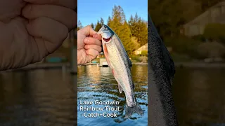 Catch+Cook Rainbow Trout #fishing #lake Goodwin #washington #trending