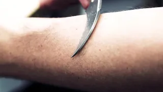 Karambit Sharpness Test! --- DO NOT TRY THIS AT HOME!