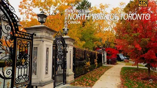 🌺Walking  in North York Toronto Where Rich Canadians Live |Autumn Colors《4K》