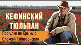 Прогулки по Крыму с Олексой Гайворонским. Выпуск 10 – Кефинский тюльпан