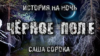 История на ночь. Чёрное поле. Саша Сорока