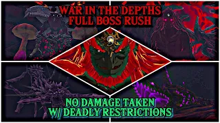 STRAIGHT TO THE FINAL BOSS (Full Boss Rush) - NO DAMAGE W/RESTRICTIONS | Zelda: Tears of the Kingdom