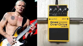 Boss ODB-3 Bass Over Drive Sound Check