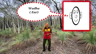 Aboriginal Wiradjuri Language