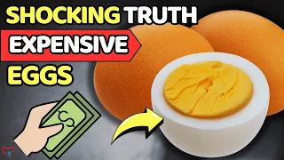 SHOCKING TRUTH About Expensive Eggs You Might Not Know | Vitality Solutions