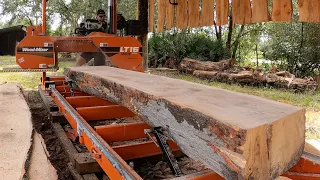 Broken Blade on Massive Oak Log Wood-Mizer LT15 WIDE  - 10