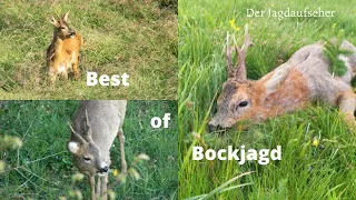 Best of Bockjagd   4K