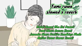 Tumi ruwa slowed x reverb version | Vicky kolita | Assam heart music| Assamese lofi| Minakshi kolita