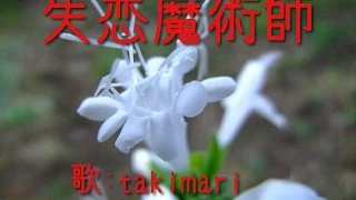 失恋魔術師 ( 太田裕美 ) 自作伴奏cover / 歌：takimari
