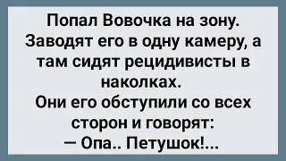 Вовочка Попал на Зону! Сборник Свежих Анекдотов! Юмор!