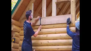 Couple Builds Their DREAM Home |  with HANDTOOLS! (Tiny Log Cabin in the Forest, FULL BUILD)