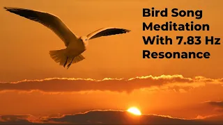 Bird song meditation music 7,83 Hz Shuman resonance for sleep by Peter Paul Parker