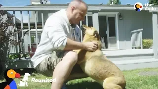 Dog Reunited with Military Dad After 2 Years Overseas | The Dodo Reunited