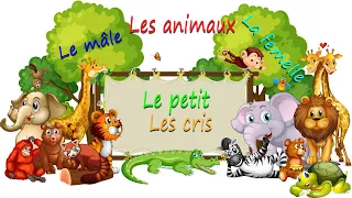 Les animaux , le mâle , la femelle , le petit et leur cris