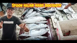 Hobi Yang Menguntungkan!!! Pesta Strike Jual Ikan Di Pulau Bangkurung & Batui