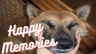 Happy Memories - Pet Loss Song