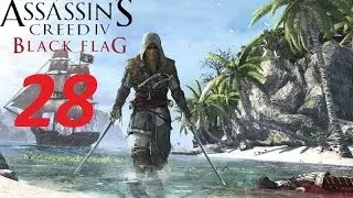 Прохождение Assassin's Creed 4: Black Flag (Чёрный флаг) — Часть 28: Горбатый кит