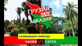 Грузия VS Абхазия 💼  Сравниваем природу. Чакви и Гагра