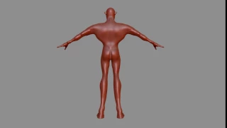 Flash Sculpt character Model