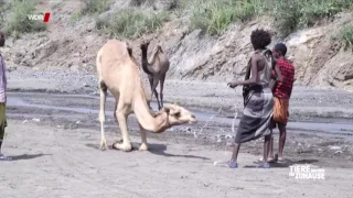 "Impfen für Afrika!" WDR-Beitrag in der Sendung "Tiere suchen ein Zuhause"