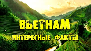 ВЬЕТНАМ | Что посмотреть во Вьетнаме и ЦЕНЫ?